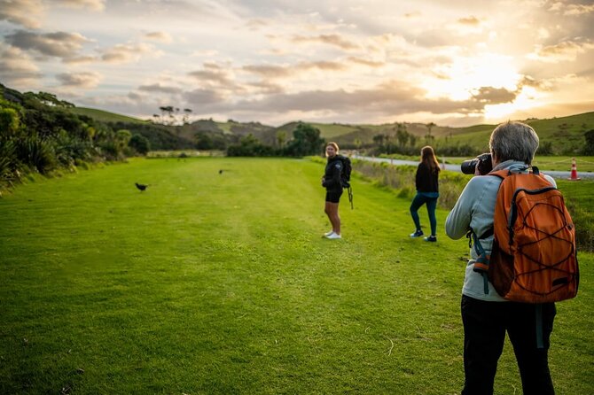 Twilight Wild Kiwi Bird Encounter Private Tour - The night walk itself: private guide, pacing, and what you’ll do