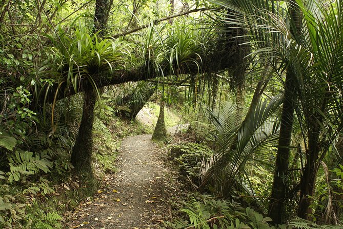 Ultimate Auckland Experience Full Day Tour with Brewery Lunch - Why this Auckland full-day tour makes sense