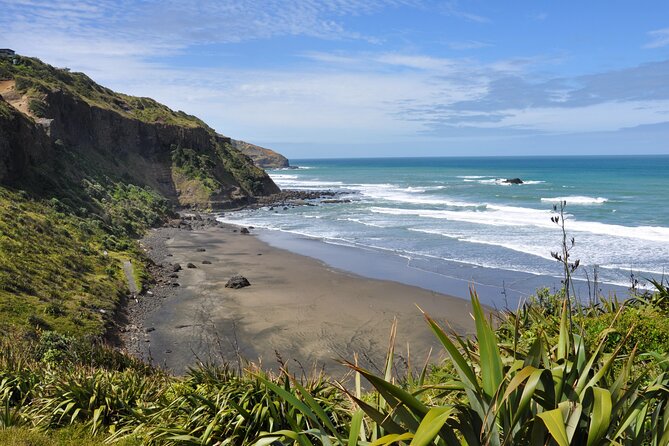 Ultimate Auckland Experience Full Day Tour with Brewery Lunch - The gannet colony at Muriwai: what you can realistically expect