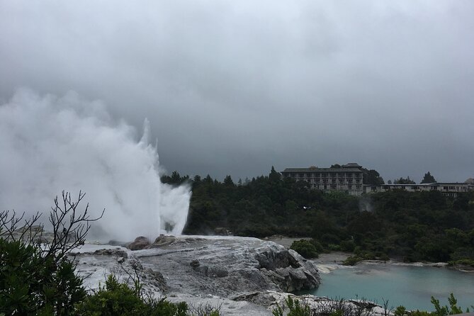 Volcanic Rotorua Day Trip from Auckland - Lake Rotorua and Government Gardens: the “slow down” moment