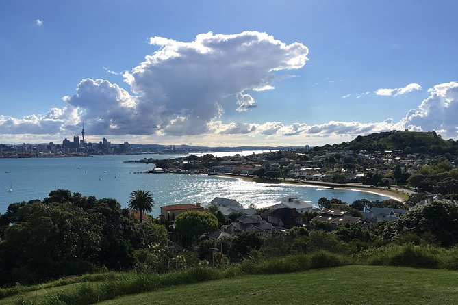 Volcanoes, Coasts, and Secret Spots Afternoon Tour in Auckland - Walking, Shoes, and Weather: What You’ll Want to Plan For
