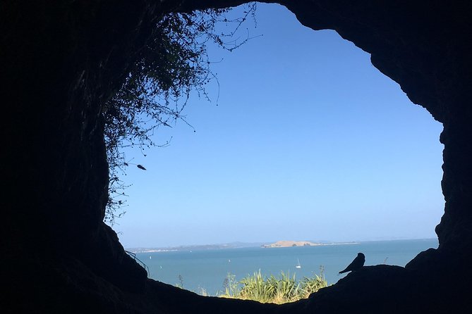 Volcanoes, Coasts, and Secret Spots Afternoon Tour in Auckland - How the North Shore Drive Sets the Tone (Harbour Bridge to Devonport)