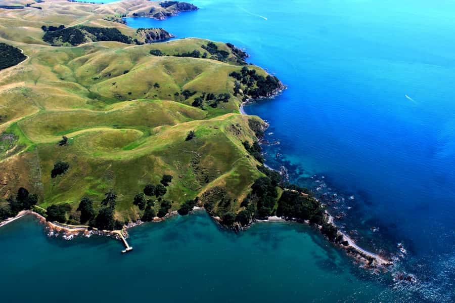 Waiheke Island: 30-Minute Scenic Flight - The shoreline route: beaches, wineries, and coves from above