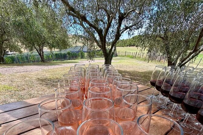 Waiheke Island: Afternoon Wine Affair with Ocean Front Lunch - Batch Winery: the highest vineyard, with views you can feel