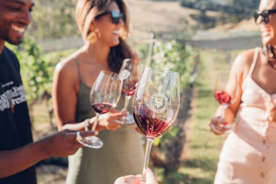 Waiheke Island: Afternoon Wine Tour with Oceanfront Lunch - Afternoon Timing: Skip Morning Crowds with the 11 AM Ferry