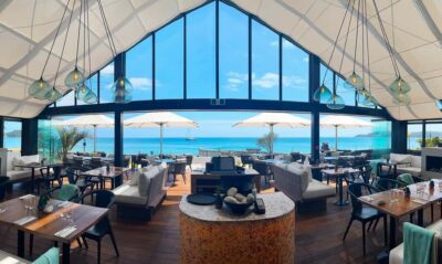 Waiheke Island: Afternoon Wine Tour with Oceanfront Lunch - Ferry Terminal Pickup and the Easiest Start to Your Day