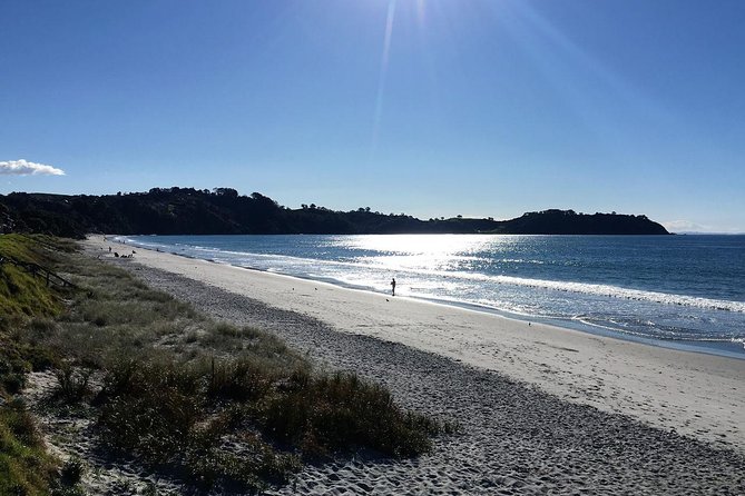 Waiheke Island Bush & Beach Walk - The 5-hour flow: active, but not a slog