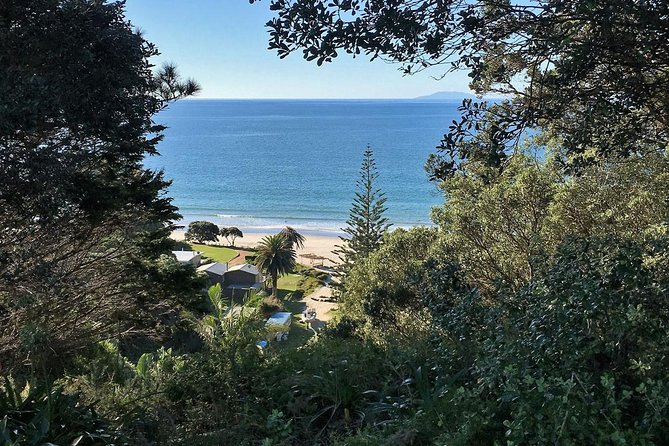 Waiheke Island Bush & Beach Walk - Lunch included: why that matters on Waiheke