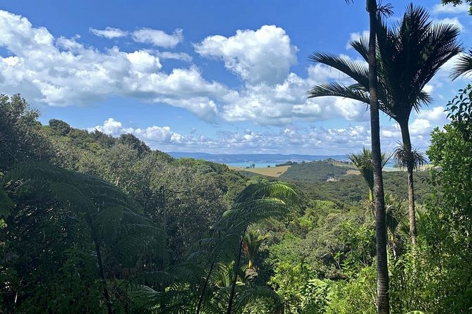 Waiheke Island Bush & Beach Walk - Guides make the difference: Maria and Justin’s adapting style