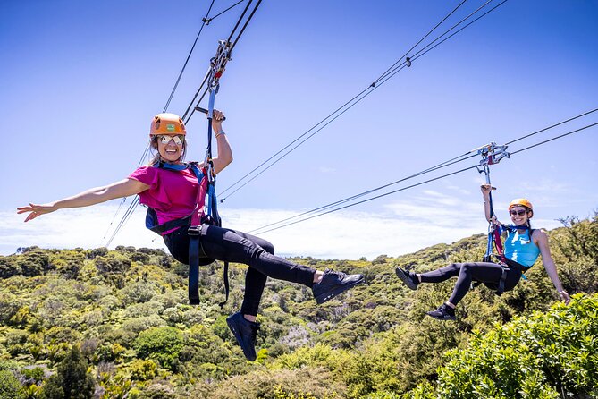 Waiheke Island Day Tour: Ziplining, Wine Tasting & Vineyard Lunch - Key things I’d lock in first