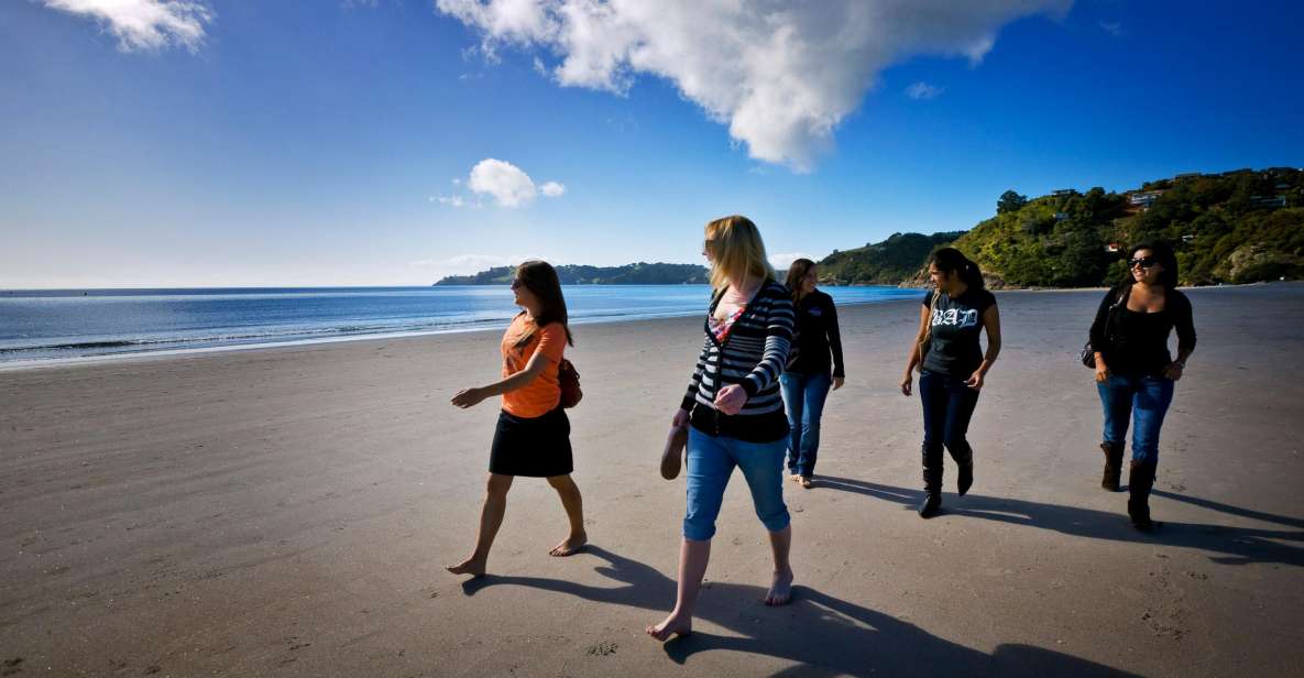 Waiheke Island: Ferry & Hop-On Hop-Off Explorer Bus Tickets - Nature walk option: Whakanewha Regional Park waterfall loop