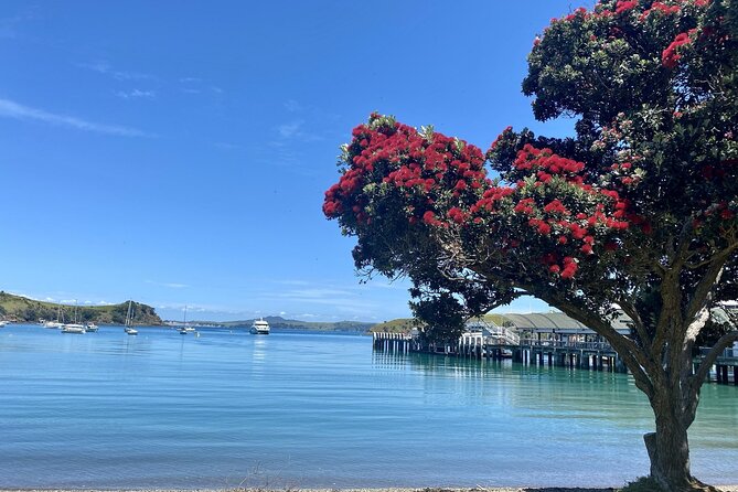 Waiheke Island Gourmet Food and Wine Tour - Entering Waiheke from Auckland: the Matiatia wharf start matters