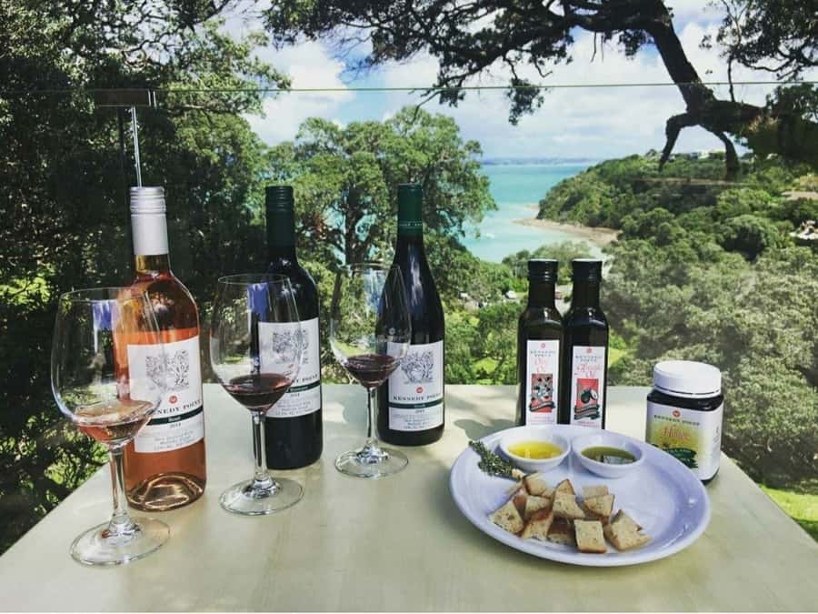Waiheke Island Gourmet Food and Wine Tour with Lunch - Oysters and olive oil: the Waiheke flavor test