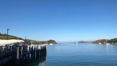 Waiheke Island Gourmet Food and Wine Tour with Lunch - The food-and-wine rhythm: what the day feels like