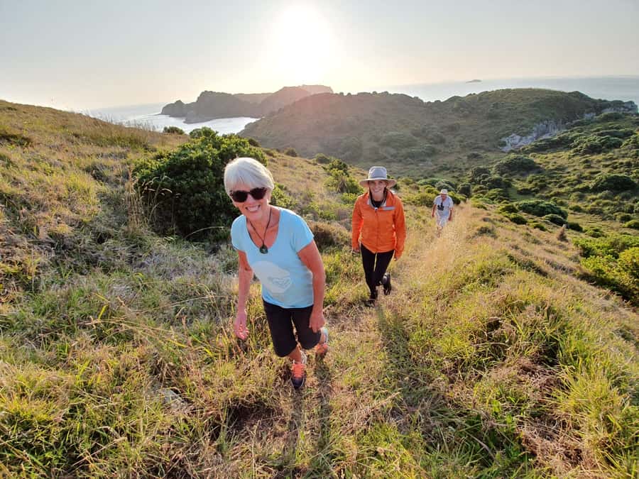 Waiheke Island: Gulf Marine Park Sailing Adventure & Lunch - Key highlights in plain English