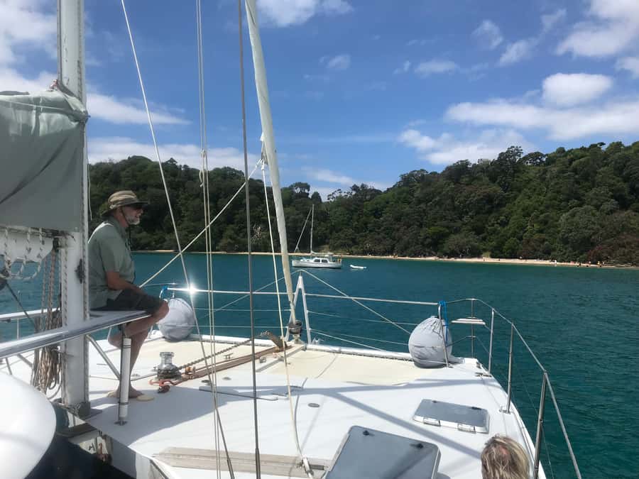 Waiheke Island: Gulf Marine Park Sailing Adventure & Lunch - The Waiheke catamaran feel: why this day trip is different