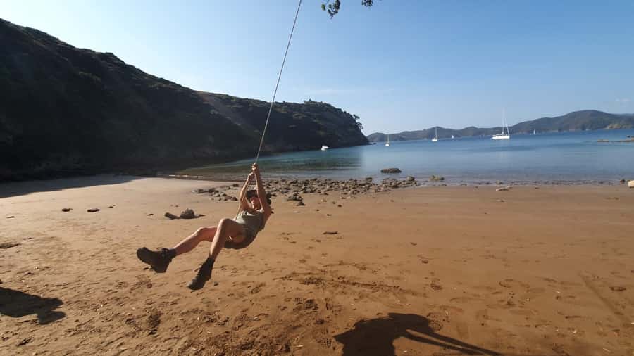 Waiheke Island: Gulf Marine Park Sailing Adventure & Lunch - Swim, snorkel, and paddle board time (and how to make it smooth)