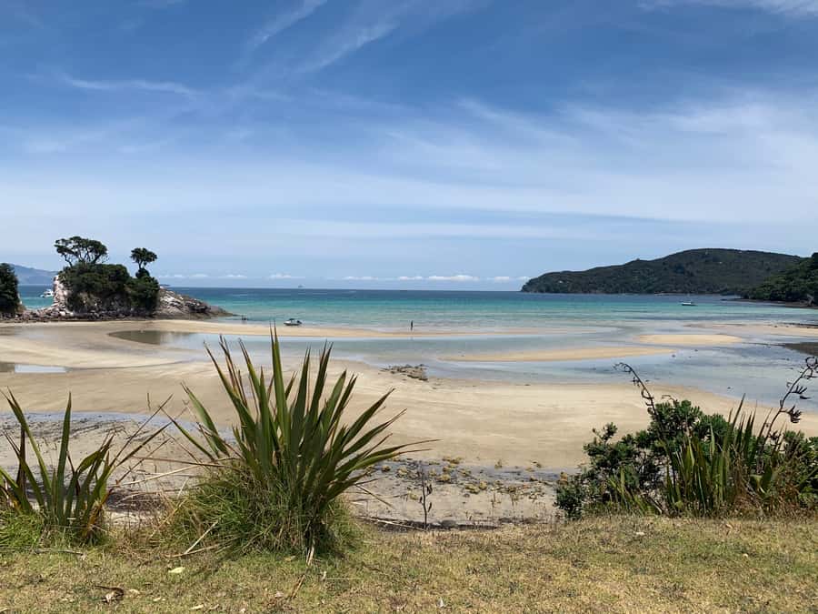 Waiheke Island: Gulf Marine Park Sailing Adventure & Lunch - Price and value: what $388 buys you (and what it doesn’t)