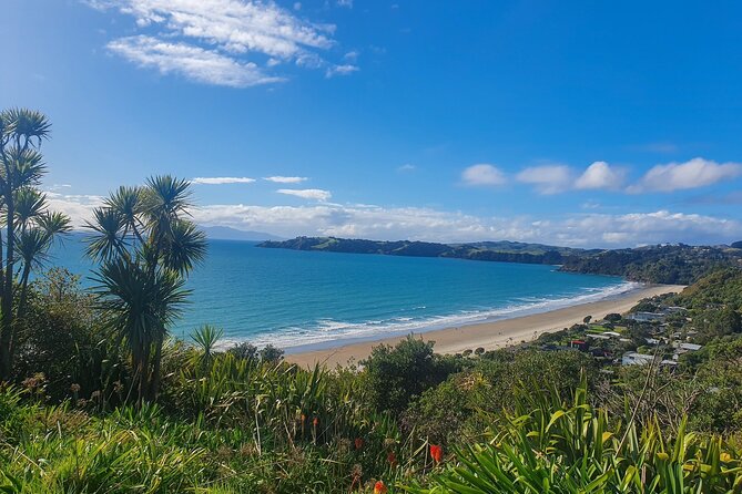Waiheke Island Half Day Scenic Wine and Lunch - Price and Inclusions: What You Pay For (and What You Don’t)