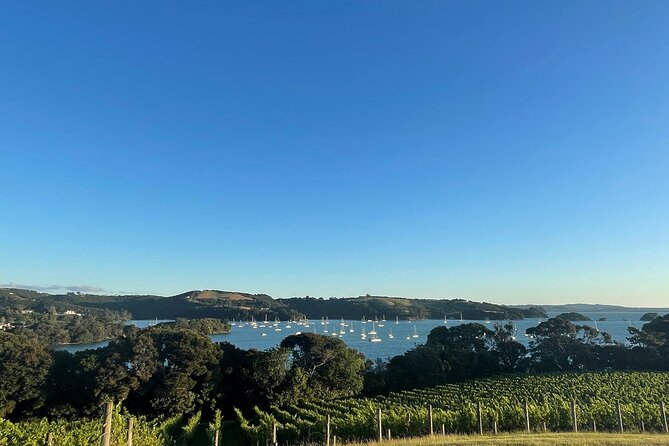 Waiheke Island Half Day Scenic Wine and Lunch - Onetangi Beach for a Quick Reset: Pohutukawa, Bay Air, and Photo Time