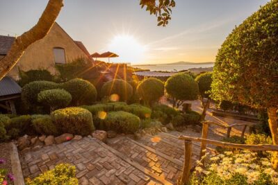 Waiheke Island Half Day Scenic Wine and Lunch - Mudbrick Vineyard Stop: Views Over Auckland and the Hauraki Gulf