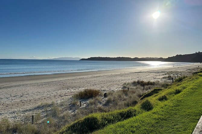 Waiheke Island Half Day Scenic Wine and Lunch - Small Group Dynamics: Guides, Pacing, and Photo Spots
