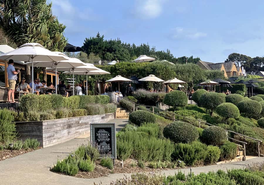 Waiheke Island: Premium Vineyard, Wine Tasting and Bush Walk - The 5-hour reality: long enough for value, not long enough to be draining