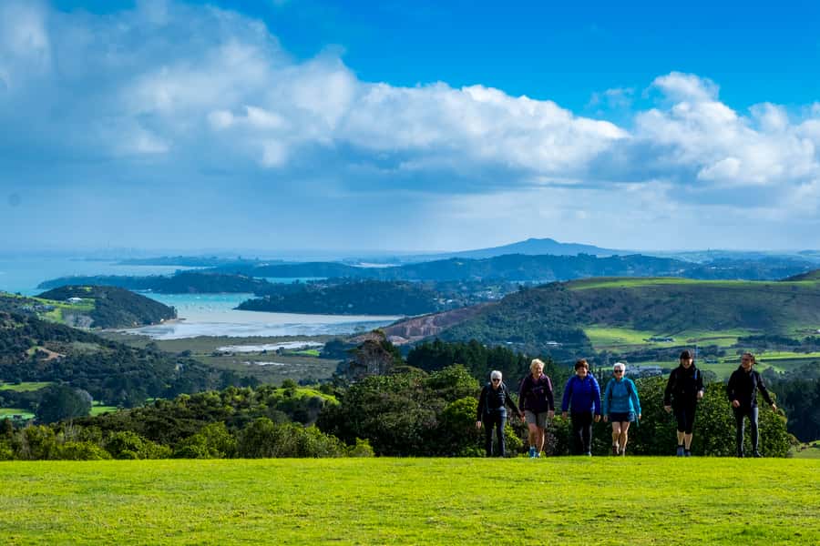 Waiheke Island: Premium Vineyard, Wine Tasting and Bush Walk - The first stretch: from ferry-area trails to Atawhai Whenua
