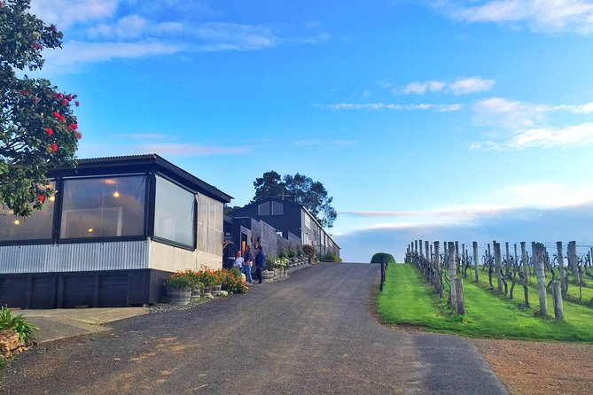 Waiheke Island Premium Wine Tour with Tastings - Quick hits before you buy