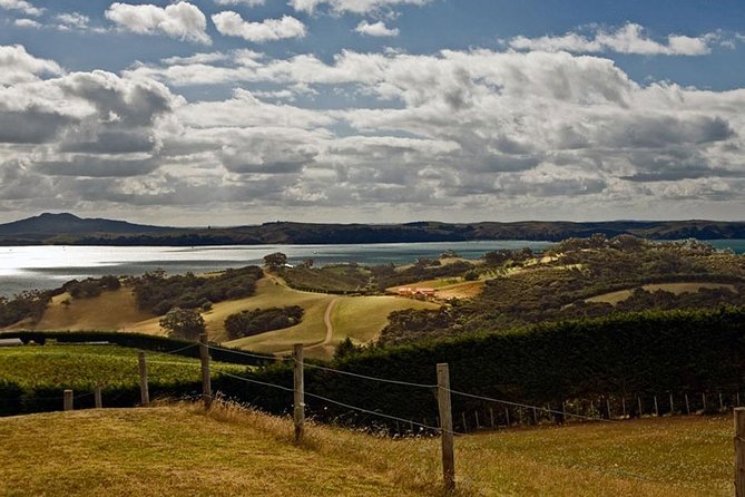 Waiheke Island Private Art Tour - Stop 2: Gabriella Lewenz Studio Gallery (1 hour, admission included)