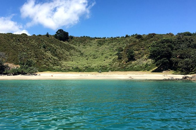 Waiheke Island Private Double Headland Walk - Matiatia to Owhanake Bay: coastal views and nature spotting