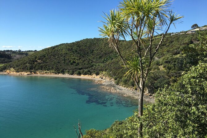 Waiheke Island Private Double Headland Walk - Price and logistics: is $418.89 per person worth it?
