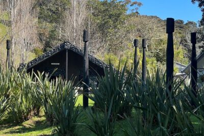 Waiheke Island Private History and Heritage Tour - Māori perspective that goes beyond a quick photo stop
