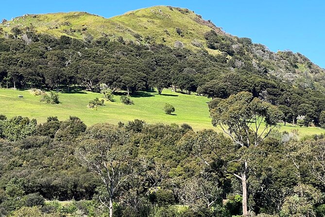 Waiheke Island Private History and Heritage Tour - Lunch break and optional extras: where your money really goes
