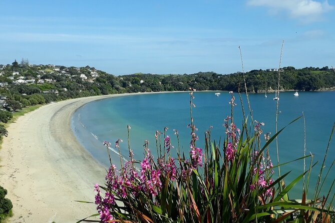 Waiheke Island Private Tours - What You Can Actually Choose: wineries, beaches, art, Mudbrick, more