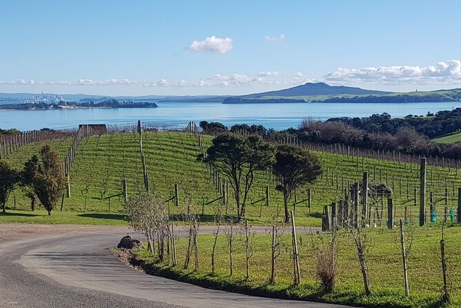 Waiheke Island Private Tours - Beach Time Without the Chaos: go at your own pace