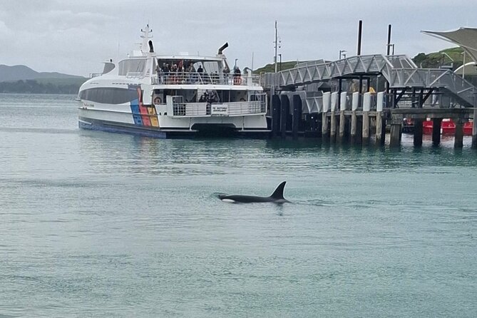 Waiheke Island Private Tours - The Rhythm of the Day: how a 4-hour private tour usually plays out