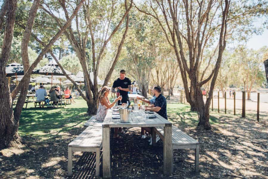 Waiheke Island: Scenic Island Wine Tour & Local Wine Tasting - The double-decker route: charcuterie, onboard flight, and an Oneroa break
