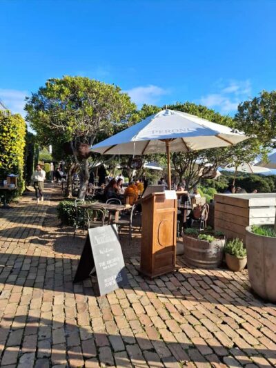 Waiheke Island: Sip and Savor 3 Vineyards Tour with Lunch - How the Day Really Flows From Matiatia Wharf