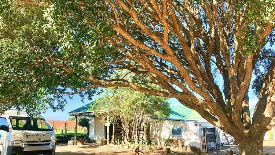 Waiheke Island: The Essence of Waiheke Wine Tour - Te Motu or Obsidian: finishing with a different angle on Waiheke