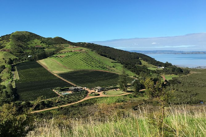 Waiheke Island Vineyards and Bush Walk - Key Takeaways Before You Go