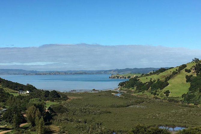 Waiheke Island Vineyards and Bush Walk - How the Vineyard Stops Work (And Why It Feels Like a Real Day, Not a Tasting Marathon)