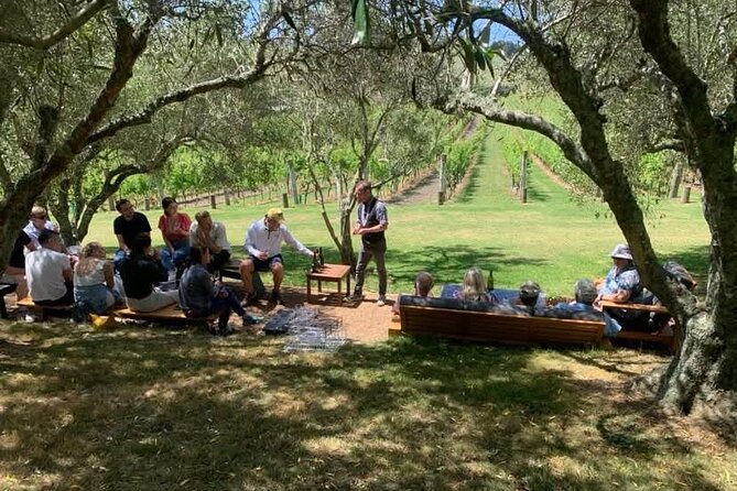 Waiheke Island Wine Tour with Tastings & Gourmet Beachfront Lunch - The Drive Between Vineyards: Scenery Plus a Useful Local Voice