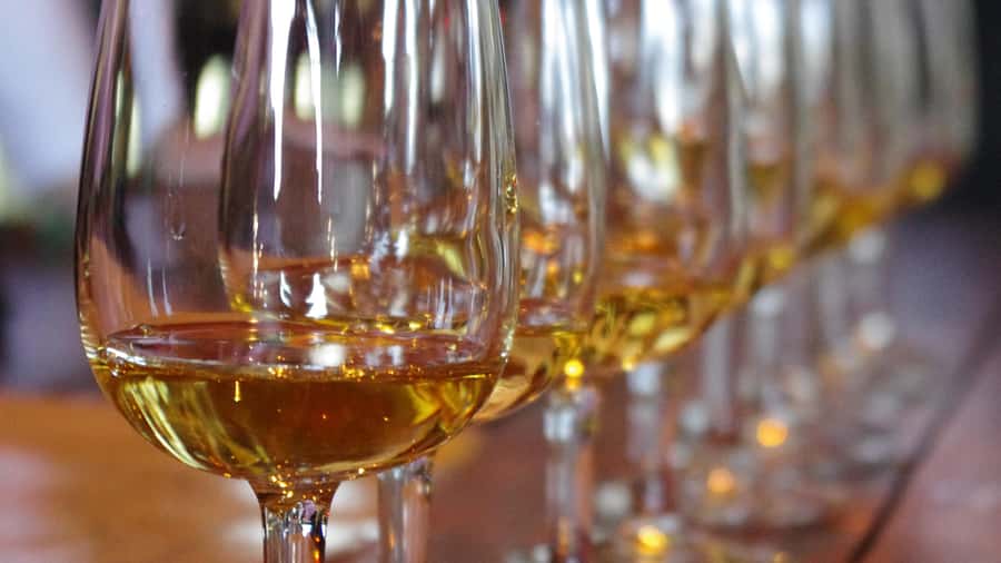 Waiheke Island Wine Tours - PREMIUM Wines - Max 11 clients ! - A small-group Waiheke wine day with real pacing