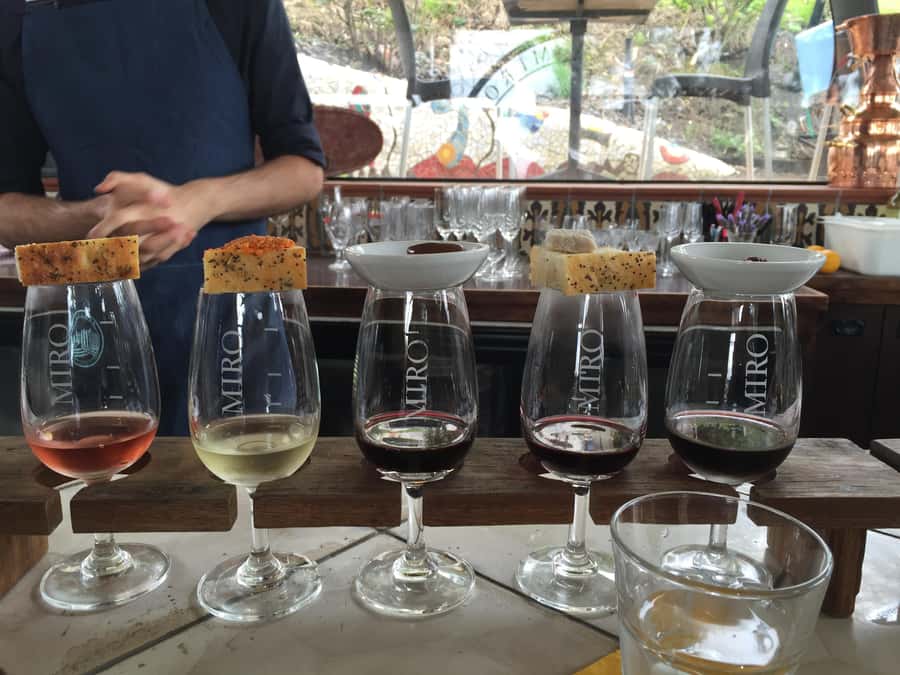 Waiheke Island Wine Tours - PREMIUM Wines - Max 11 clients ! - The wine part: three boutique vineyards and what you’ll learn