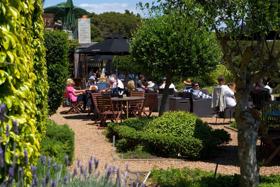 Waiheke Island Wine Tours - PREMIUM Wines - Max 11 clients ! - Getting to Waiheke: ferry timing and how pick-up works