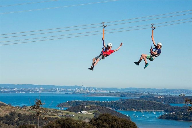 Waiheke Island: Zipline And Forest Walk - Price and Time: Does $92.47 Really Make Sense?
