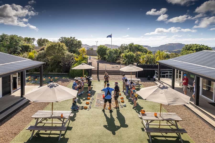 Waiheke Island: Zipline and Native Forest Adventure Trip - Price and value: what $89 actually covers (and what it doesn’t)