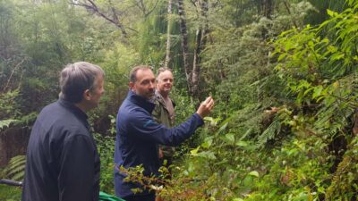 Waitakere Ranges Wilderness Experience Tour from Auckland - The ridge stops: ocean views and Maori carvings
