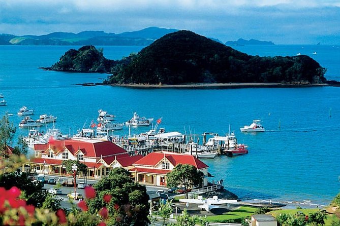 Waitangi Treaty Ground Day Trip Private Transport From Auckland - Key Things to Know Before You Go